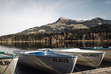 Wandern, Schwimmen oder Bootfahren vor Tirols traumhafter Bergkulisse